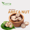 Areca Nut